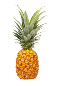 fresh and mellow pineapple