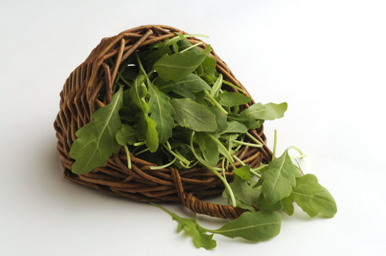 Rucola selvatica - Diplotaxis tenuifolia