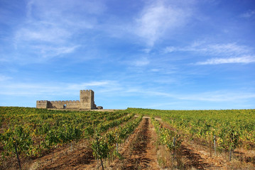 Fototapeta na wymiar Landscape with grapevines and an old castle.