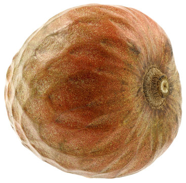 coeur boeuf  Annona reticulata