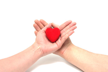 Obraz premium The Heart on palms.