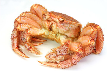 crab(raw)