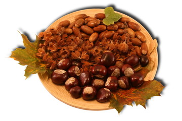 Herbstdekoration