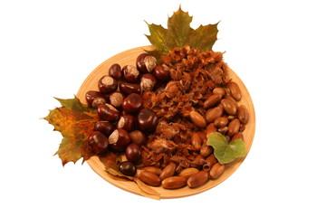 Wohnraumdekoration Herbst