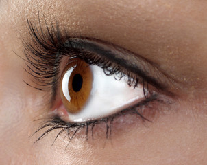 Macro eye