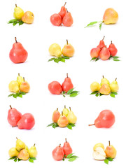 pear collection