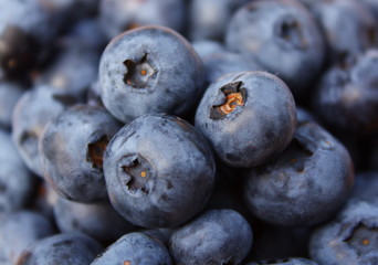 Blueberry