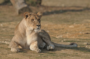 repos
