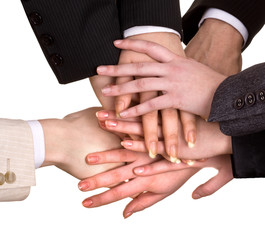 Obraz premium Group of business people hand. Isolated.