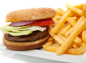 Hamburger and fries