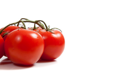 Red tomatoes on a vine