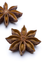 Sternanis