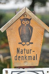 Schild
