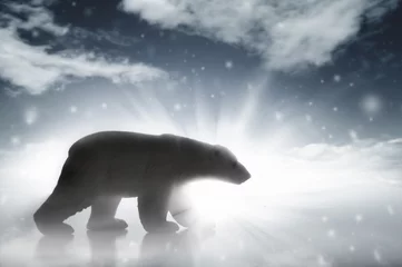 Abwaschbare Fototapete Eisbär Eisbär in einem Schneesturm