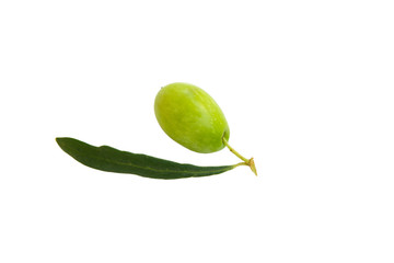 green olive