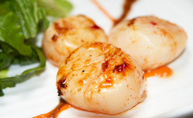 Grilled scallops with lettuce