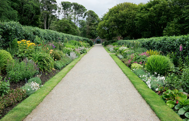 Footpath in a lush and colorfull Irish garden