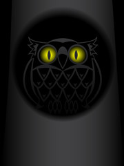 Shone eyes of an owl