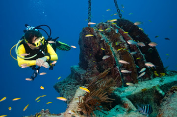 Female diver explores wreck