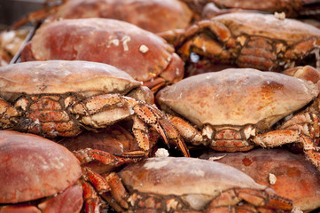 crabs