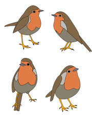 vector of robin in various poses
