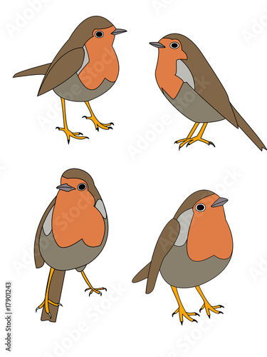 vector-of-robin-in-various-poses-stock-image-and-royalty-free-vector