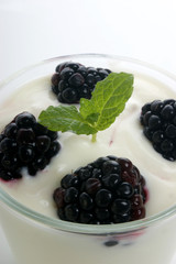 some organic blackberries in natural yoghurt and mint