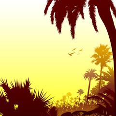 tropical background