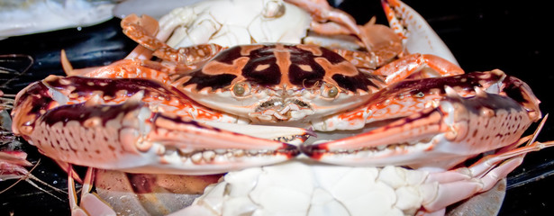 Very big craw-fish, macro shot