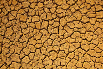 Cracked Earth.