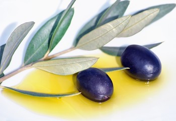 Olive nell'olio con ramoscello