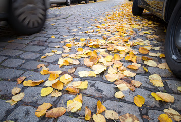 herbstliches Kopfsteinpflaster, Stadt