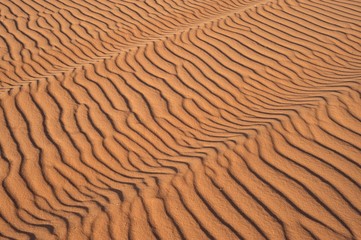 Sand dunes at sunset