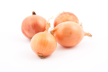 Onion