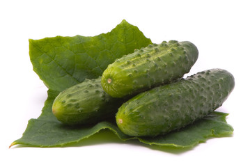 Fresh cucumbers with leaf. Macro shot. Studio white background