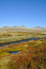 Rondane