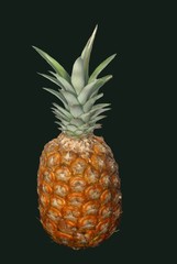ananas entier