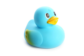 rubber duck