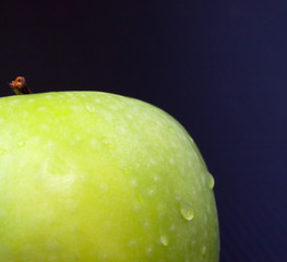 Green Apple