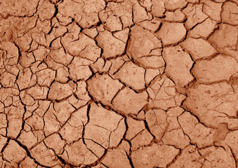 Dry soil surface. Background