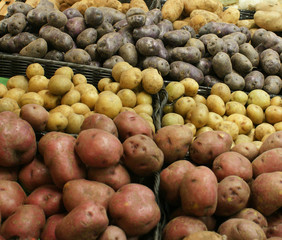 Red, Yellow, Purple, and White Potatoes in a Market