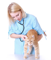 Veterinarian on white holding a orange cat