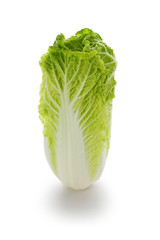 Chinese cabbage