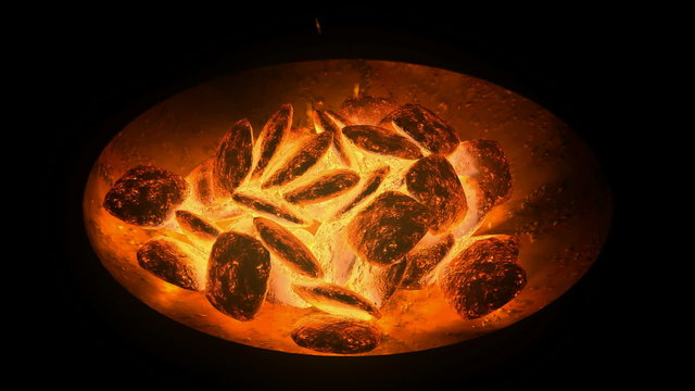 Charcoal Burning. CG. HD.