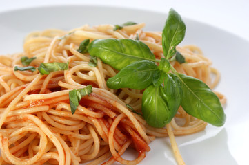 spaghetti with organic home made tomato sauce