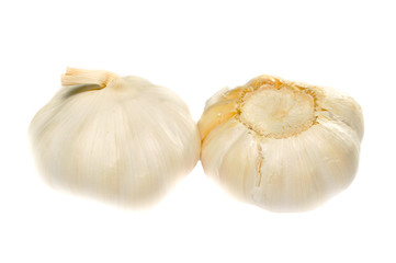 garlic