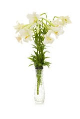 Lilies isolated on the white background