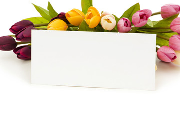 Tulips and message on white