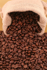 Grains of coffee