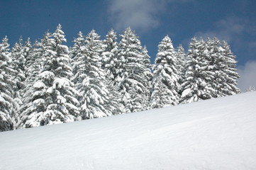 Fototapeta premium paysage hiver2